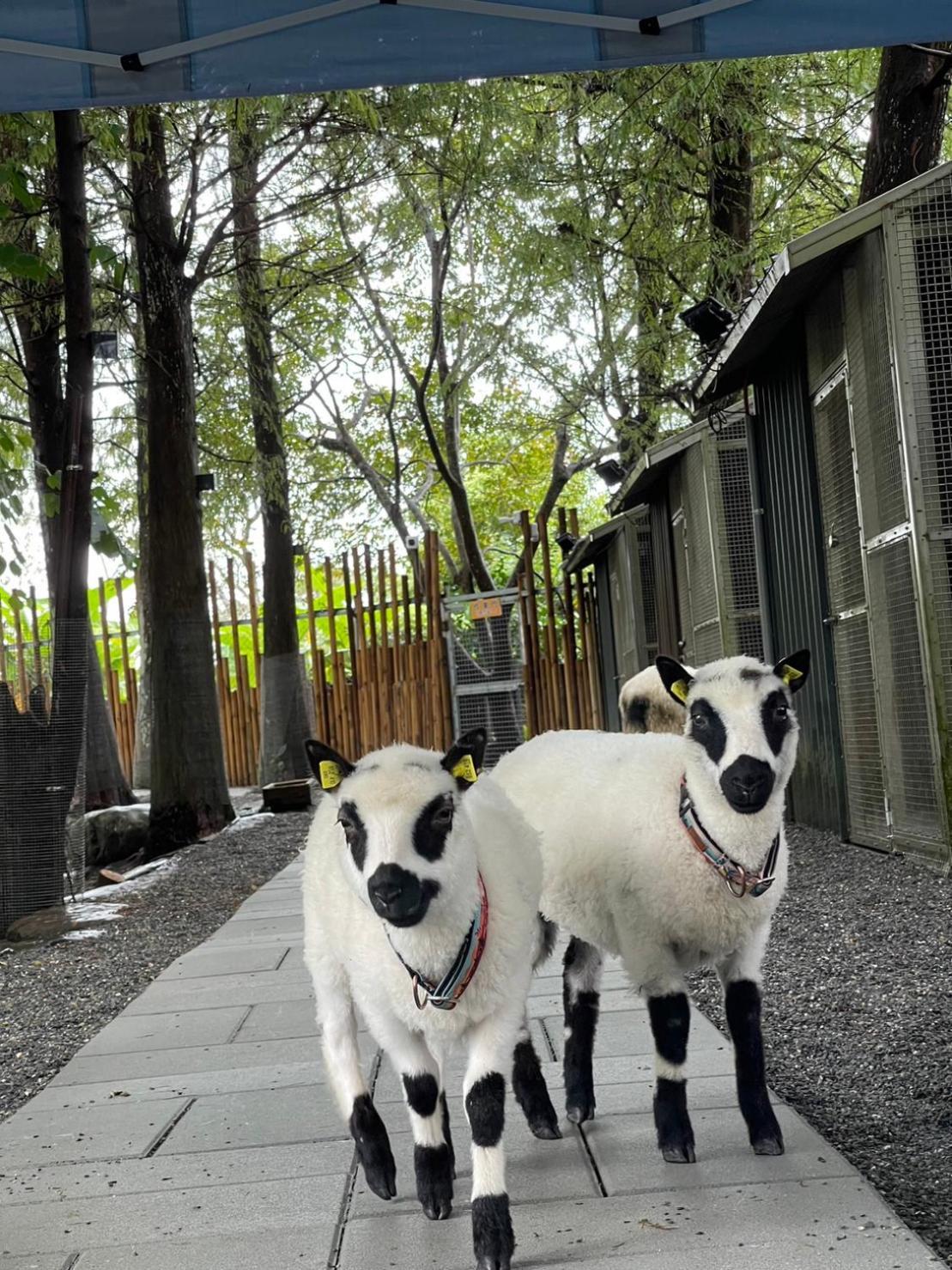 River Forest Leisure Farm Dongshan  Exterior photo
