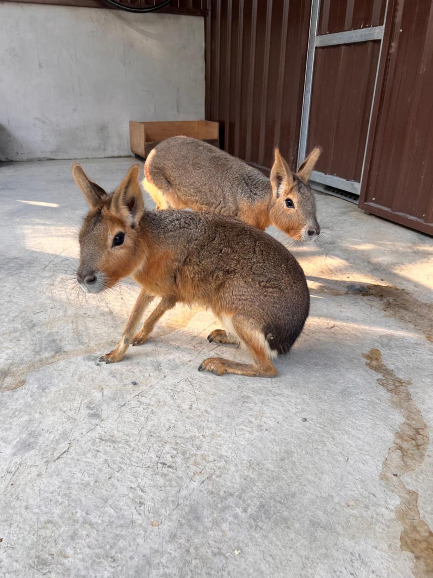 River Forest Leisure Farm Dongshan  Exterior photo