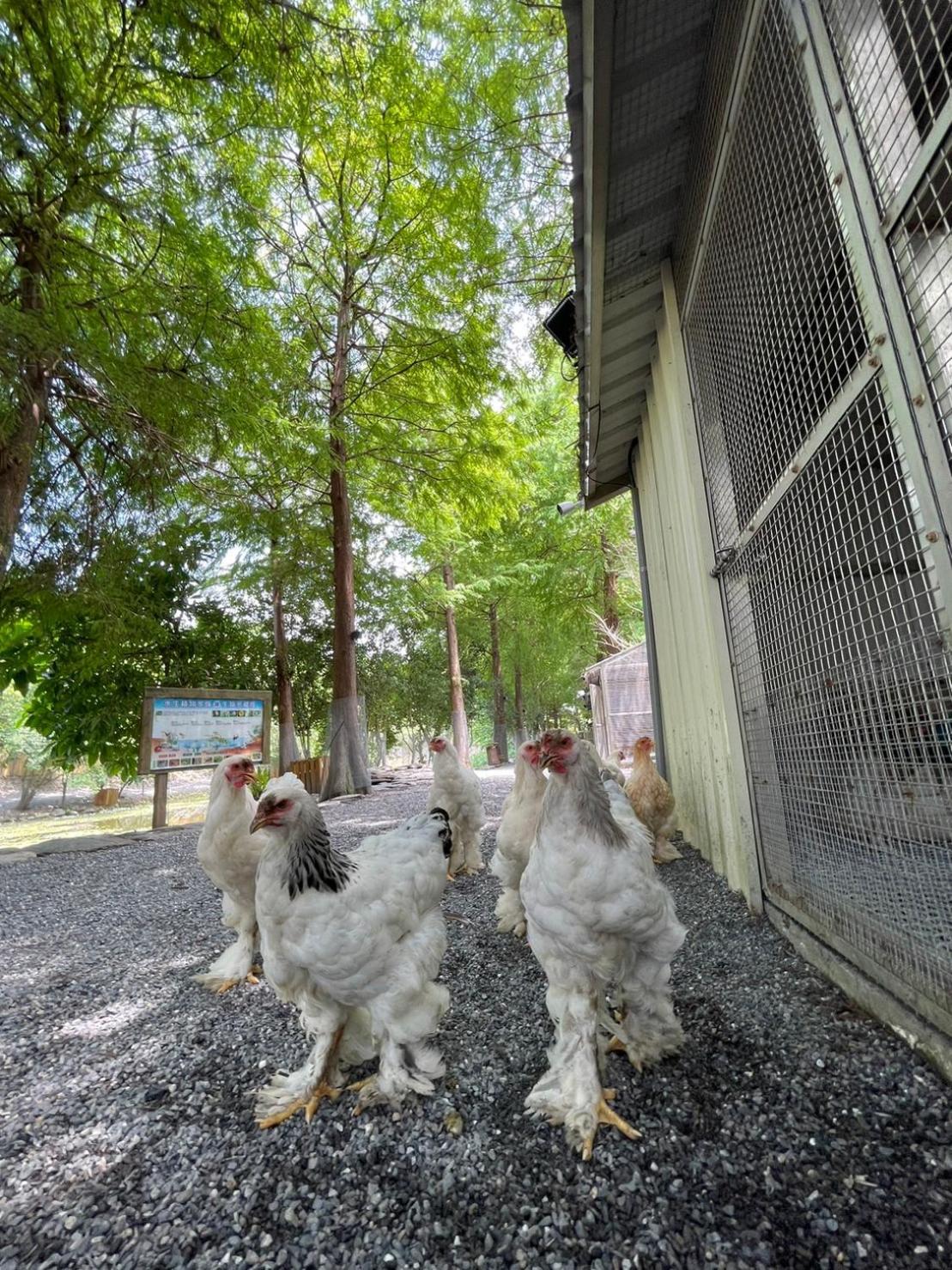 River Forest Leisure Farm Dongshan  Exterior photo